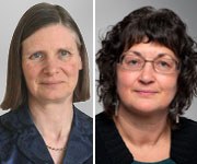 Moriaty stubbe medium