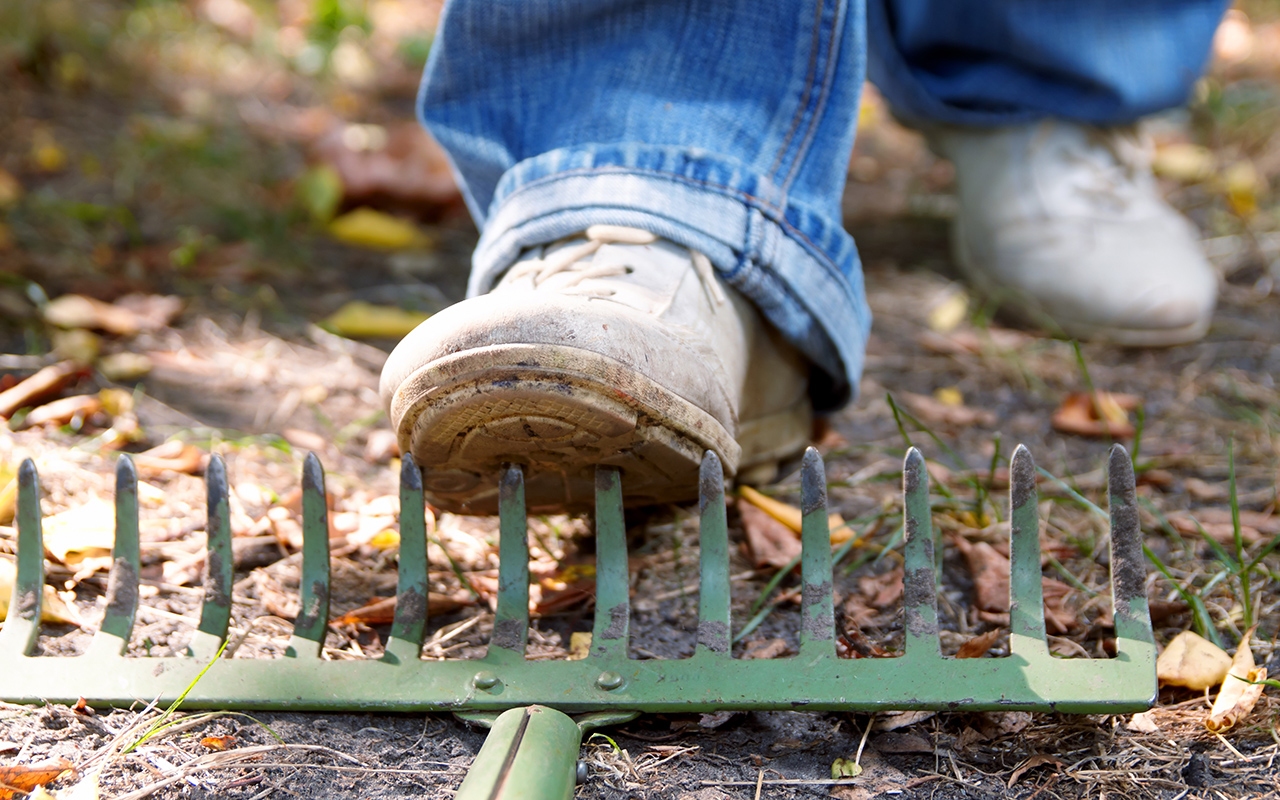 Omicron: the cardinal sin of “planning for the best” - Featured Image