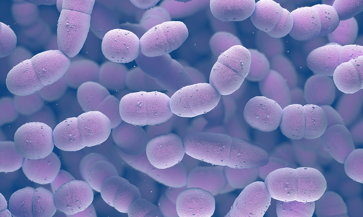 Pneumococcal pneumonia and the future of vaccination 249