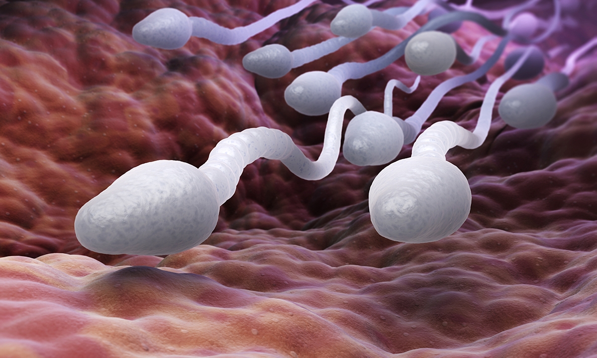 Research news in brief - Featured Image