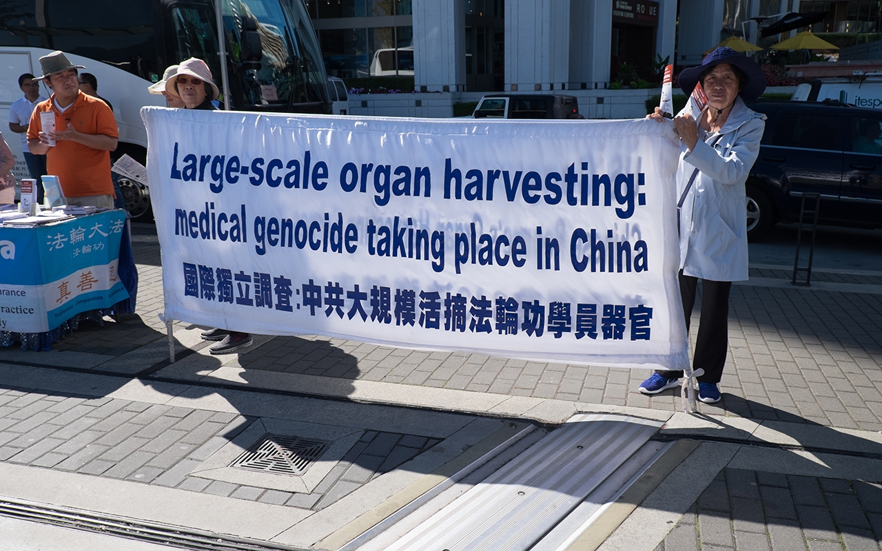 Research news in brief 111 547