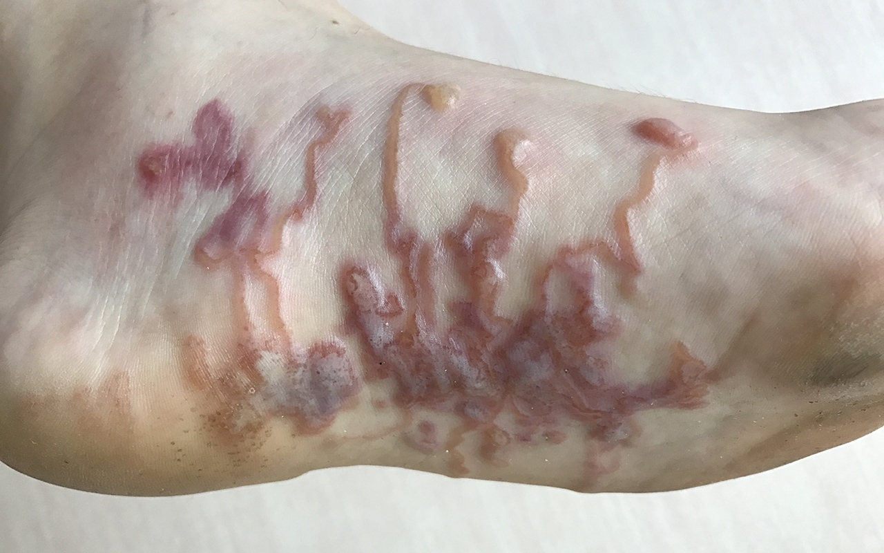 Research news in brief - Featured Image