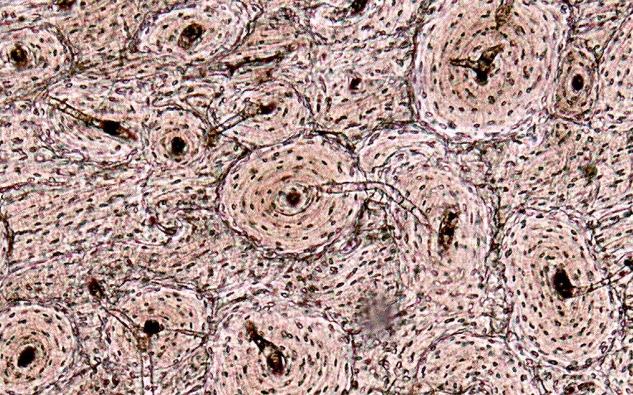 Research news in brief - Featured Image