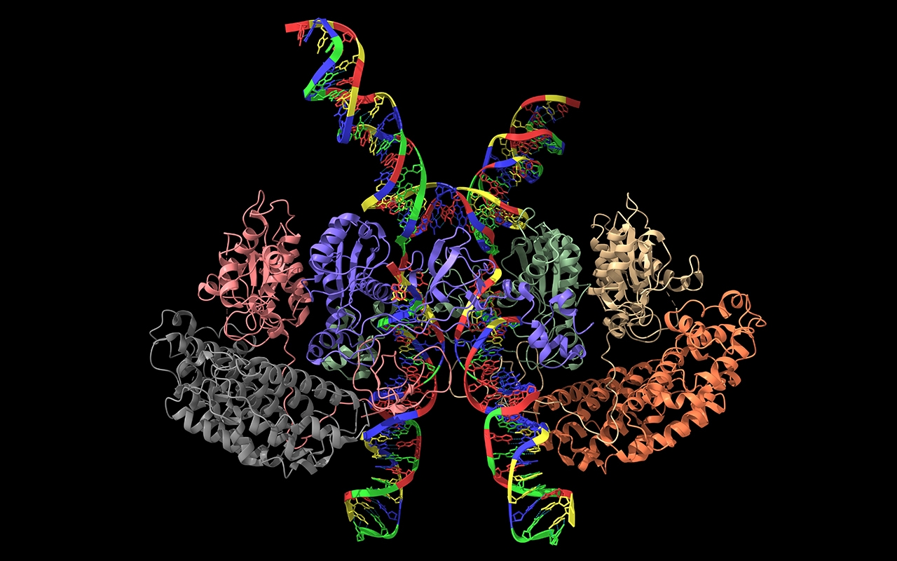 Research news in brief - Featured Image