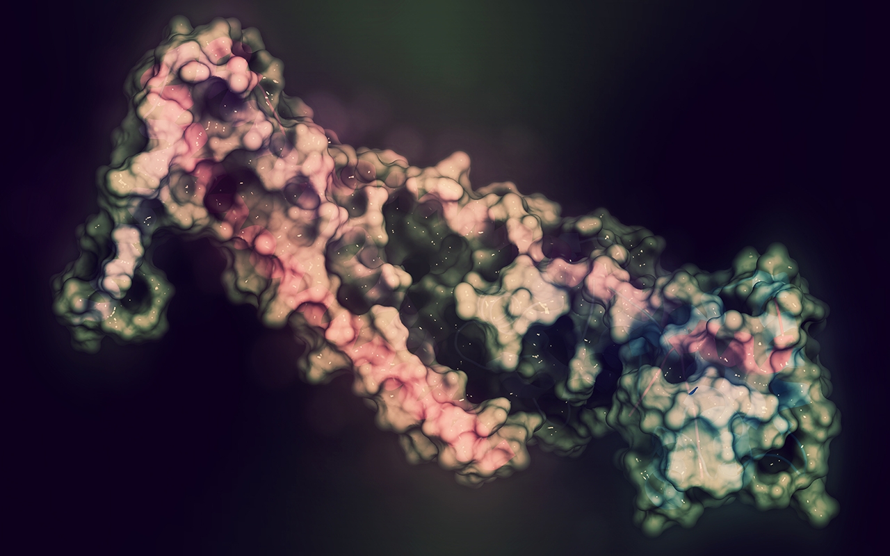 Research news in brief 88 255