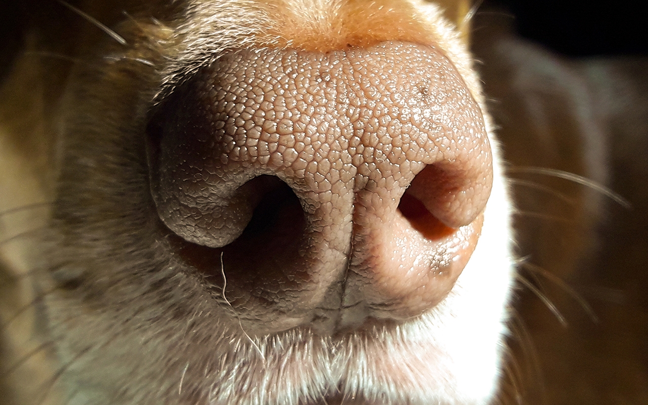 Research news in brief - Featured Image