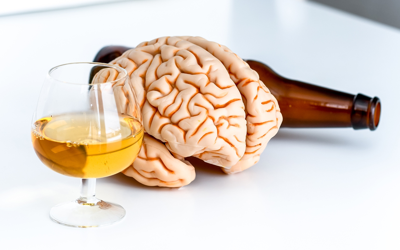 Research news in brief 93 901