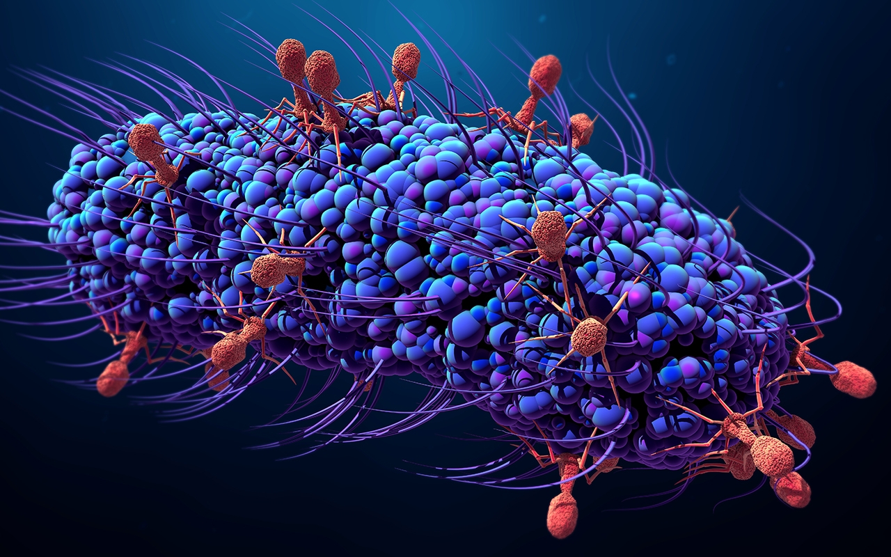 Research news in brief 96 357
