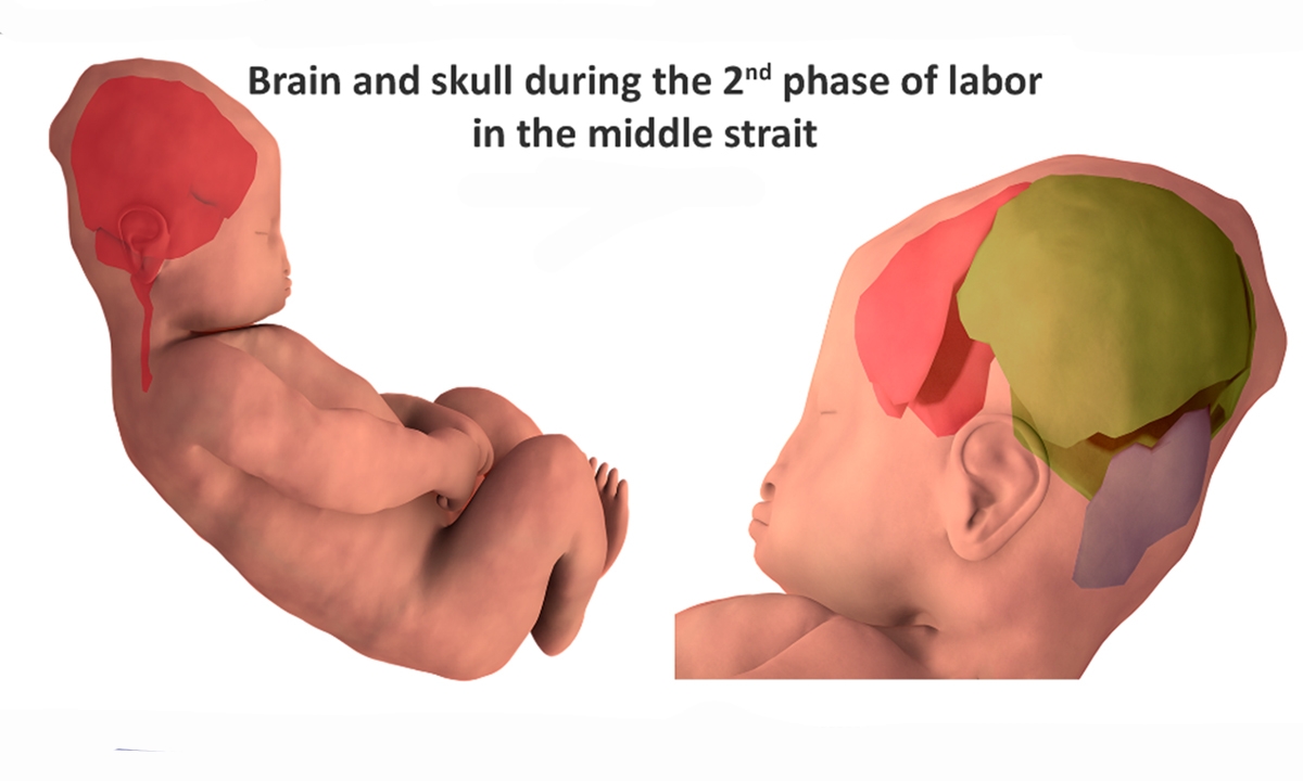 Research news in brief 97 528