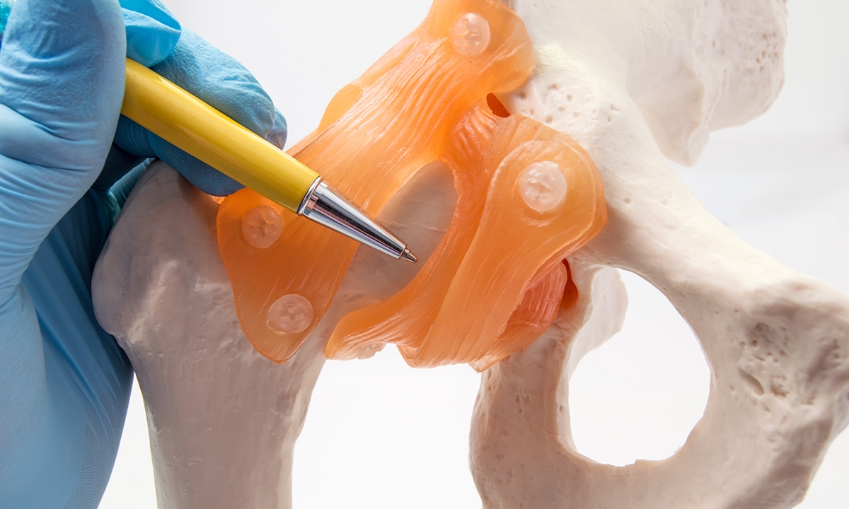 Screen all babies for hip dysplasia - Featured Image