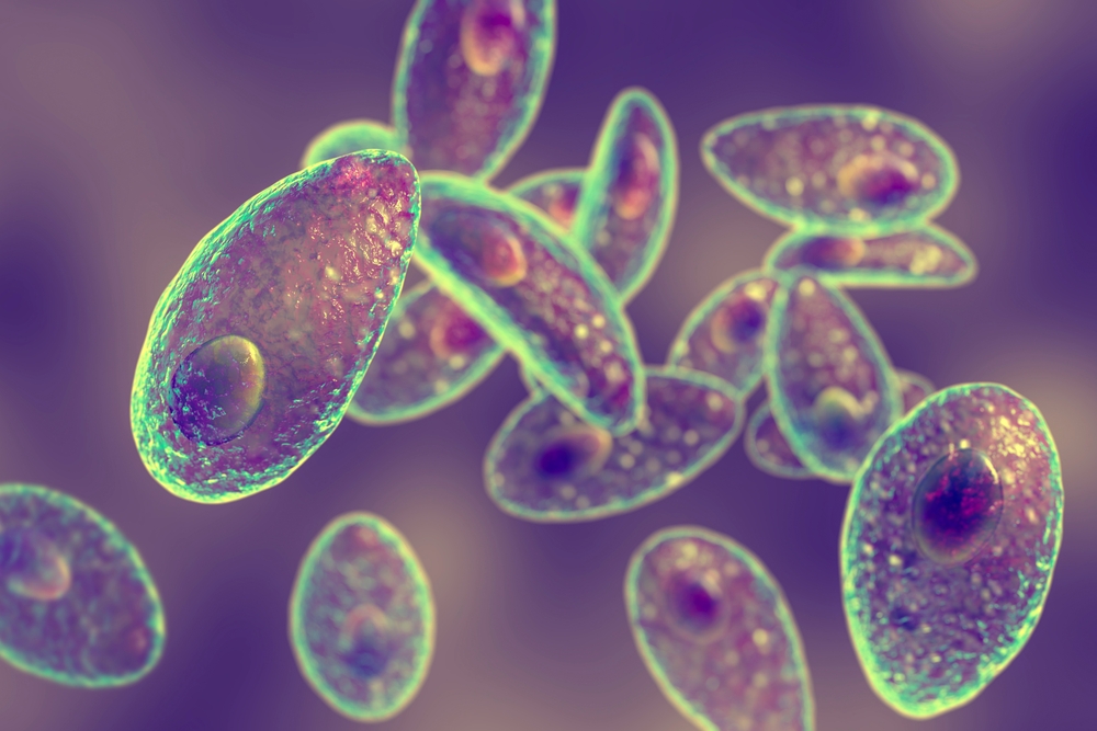 Toxoplasmosis