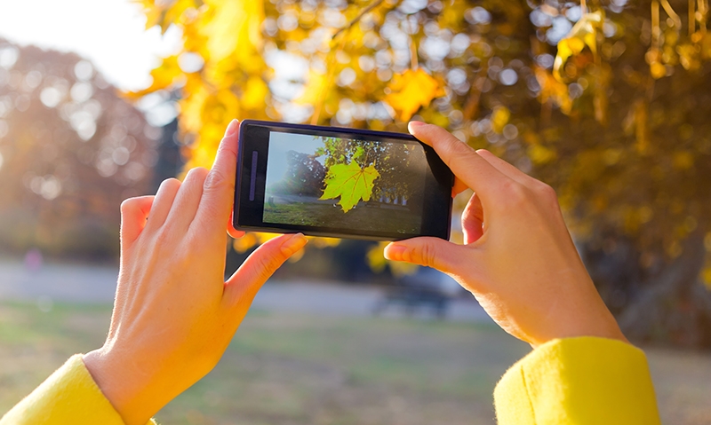 Pitfalls of smartphone images in diagnosis - Featured Image