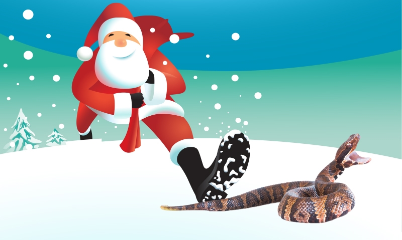 Snakes, toads and tachycardia - Featured Image