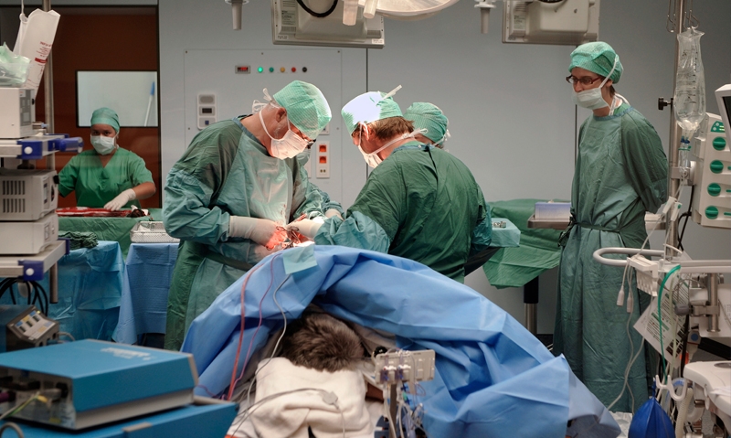Surgeons’ priorities probed - Featured Image