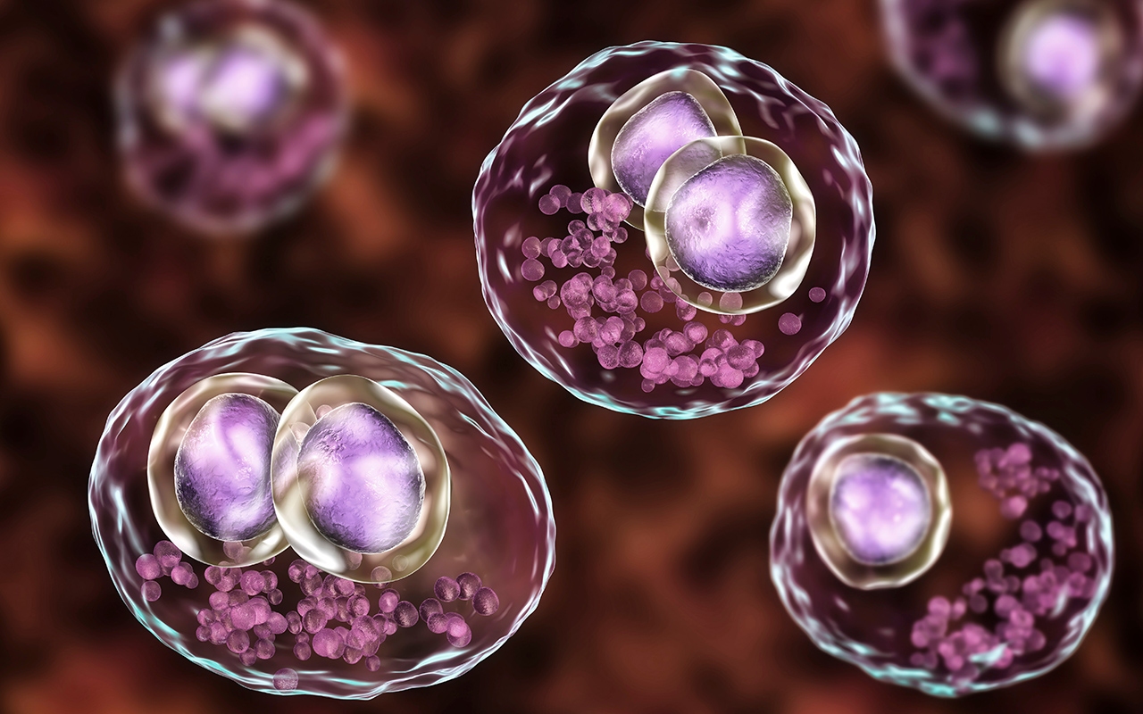 Targeted screening for cytomegalovirus warranted 346