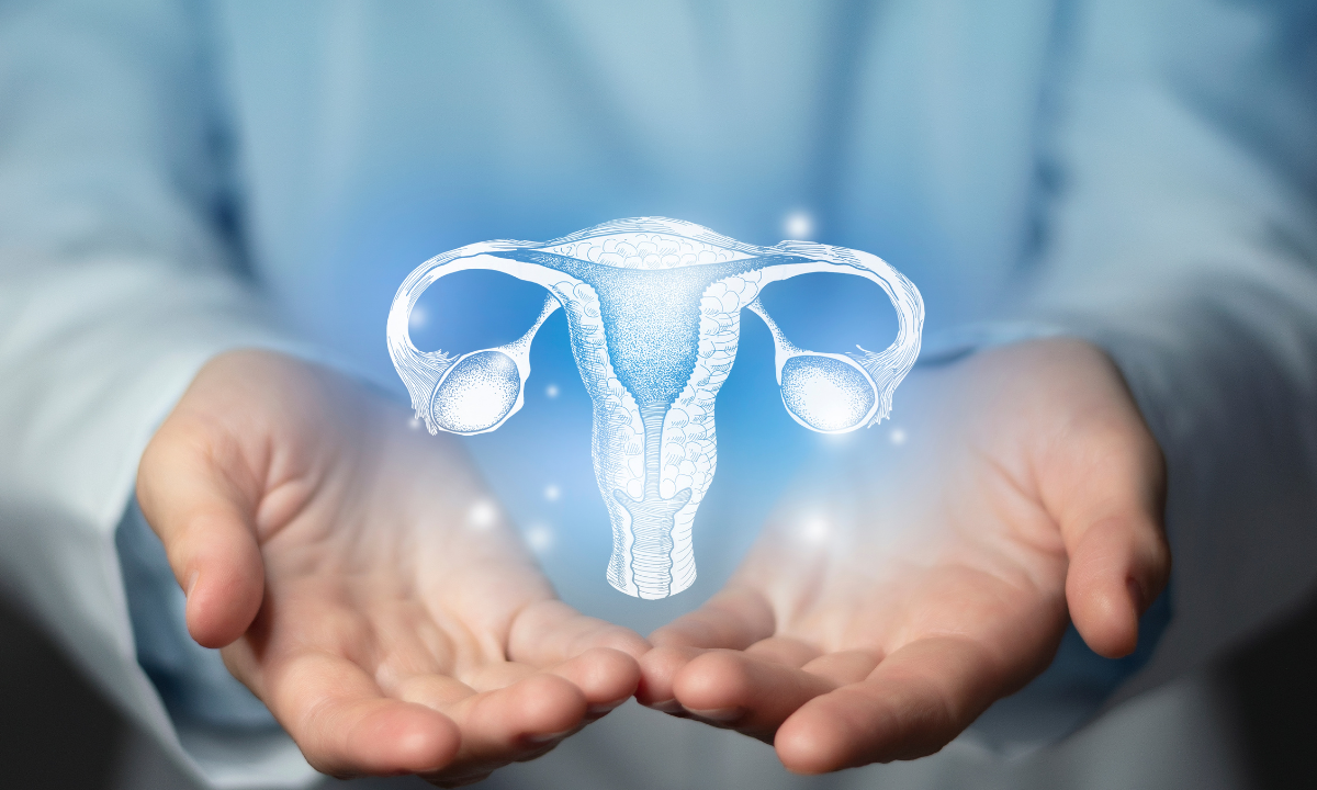 The fight against ovarian cancer new research push 687