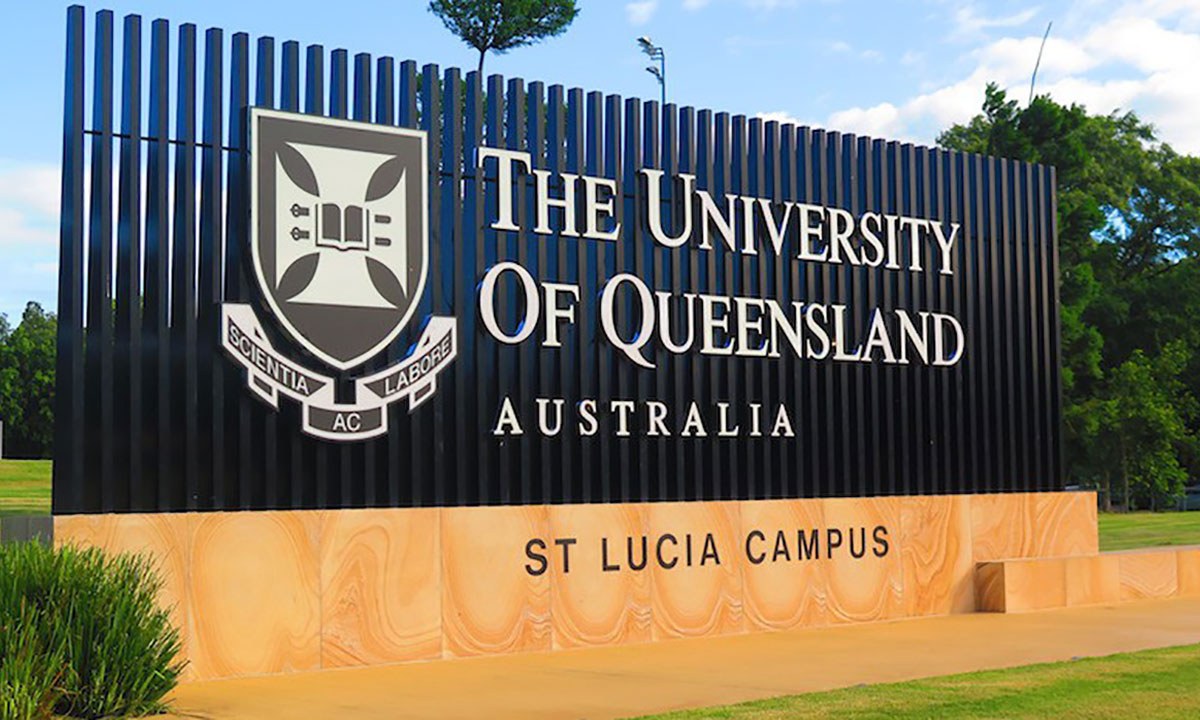 The researchers the university and the bizarre medical cult 569