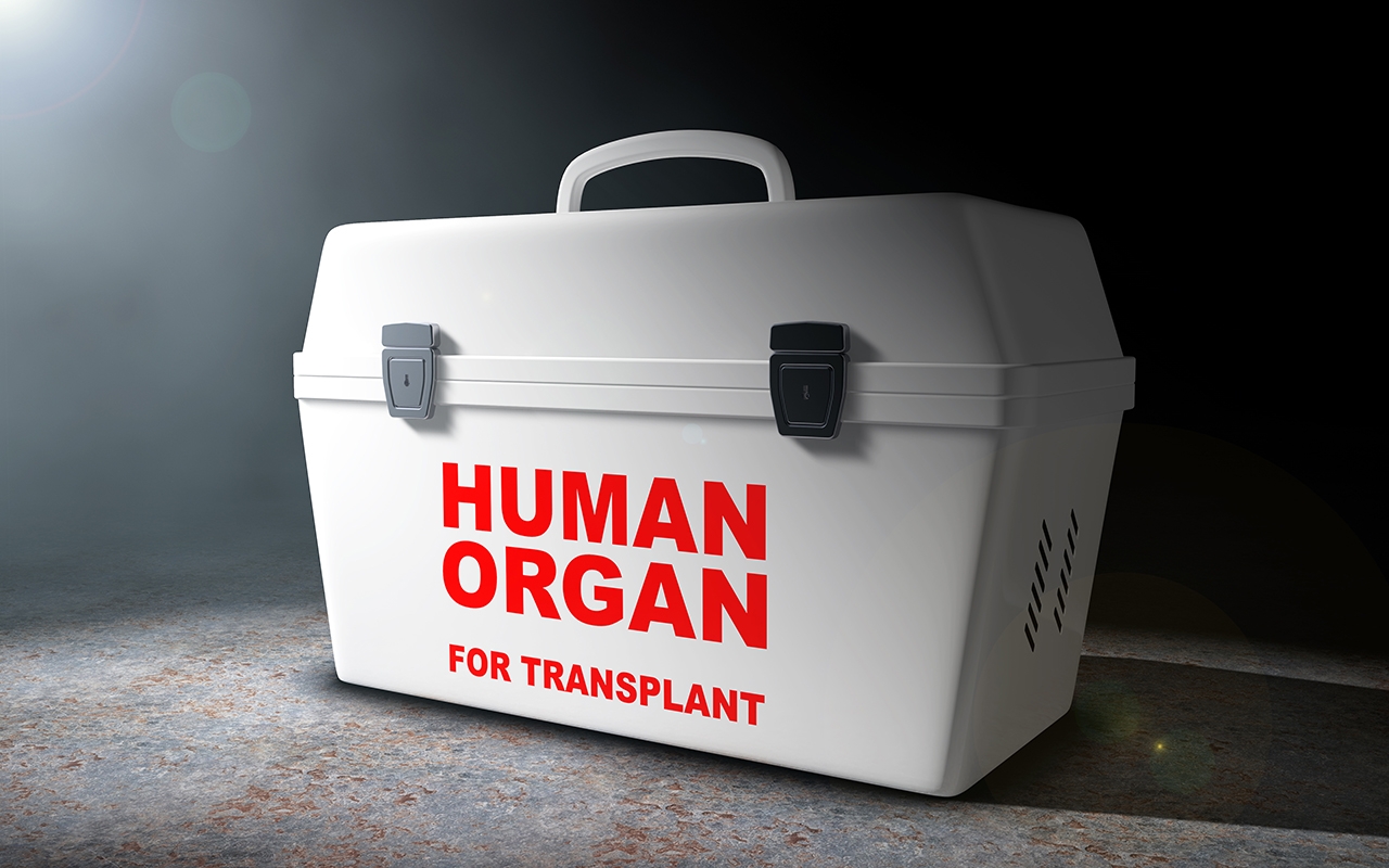 Transplant tourism survey shows under reporting need for education 782