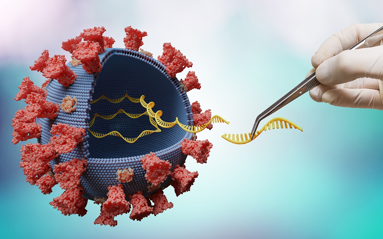 Virus manipulation 2022