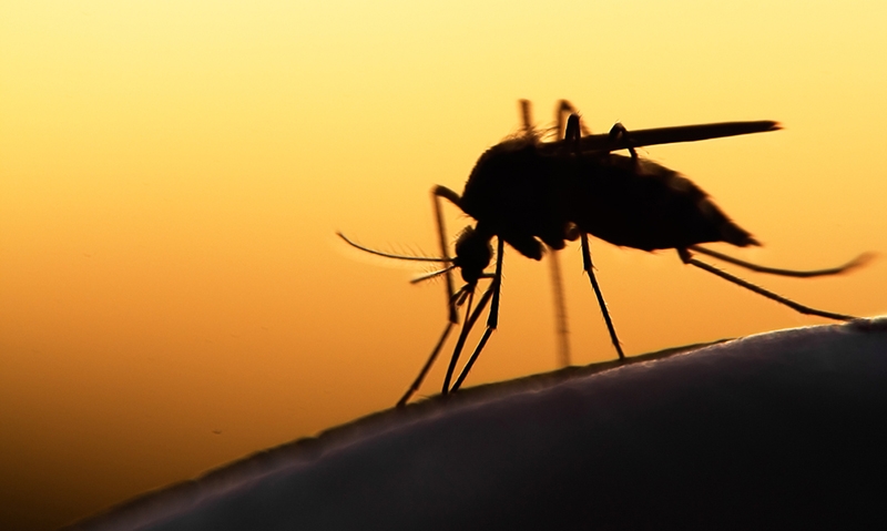 Zika virus causes brain damage in us baby 370