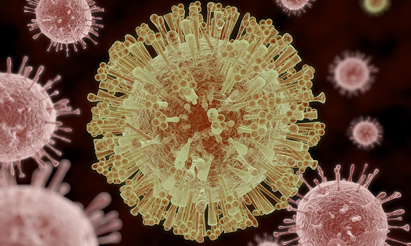 Zika and the WHO: lessons learned from Ebola - Featured Image