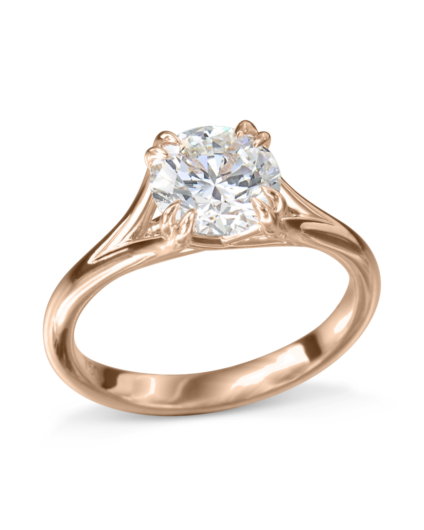 RSOLR00158-1