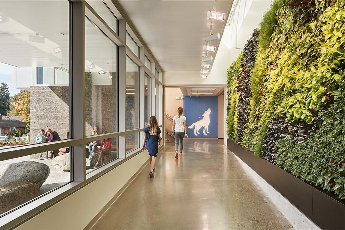 Hazel Wolf K-8 E-STEM School