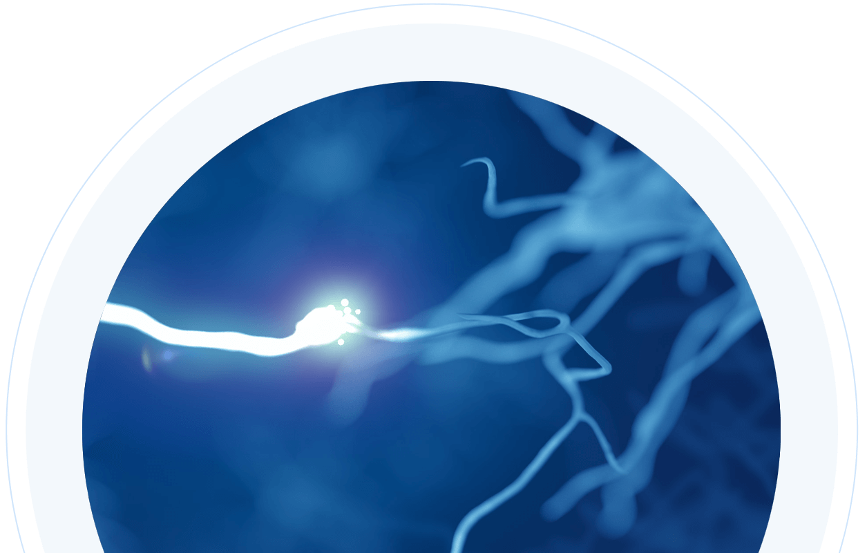 Image of a neuron