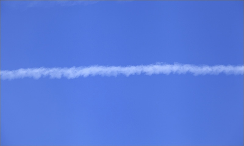 14 00491