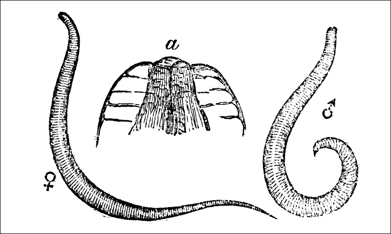14 01636