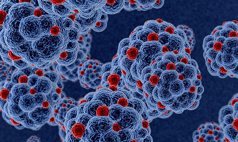 16 00934