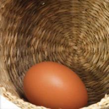 Egg 0