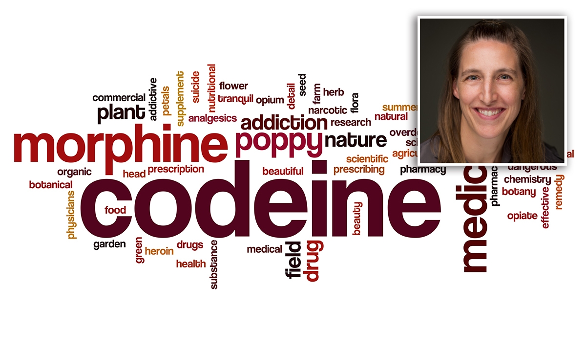 Codeine dependence, with Dr Suzanne Nielsen