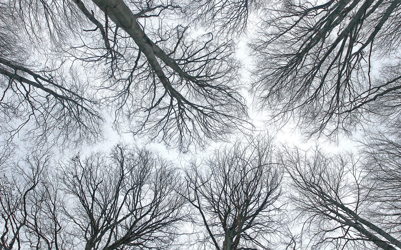 Seasonal affective disorder, with Dr Adriana Nevarez Flores and A/Prof Amanda Neil
