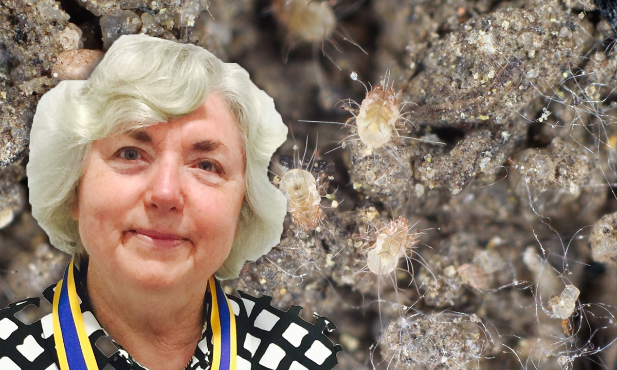 Tick-induced allergies, with A/Prof Sheryl van Nunen