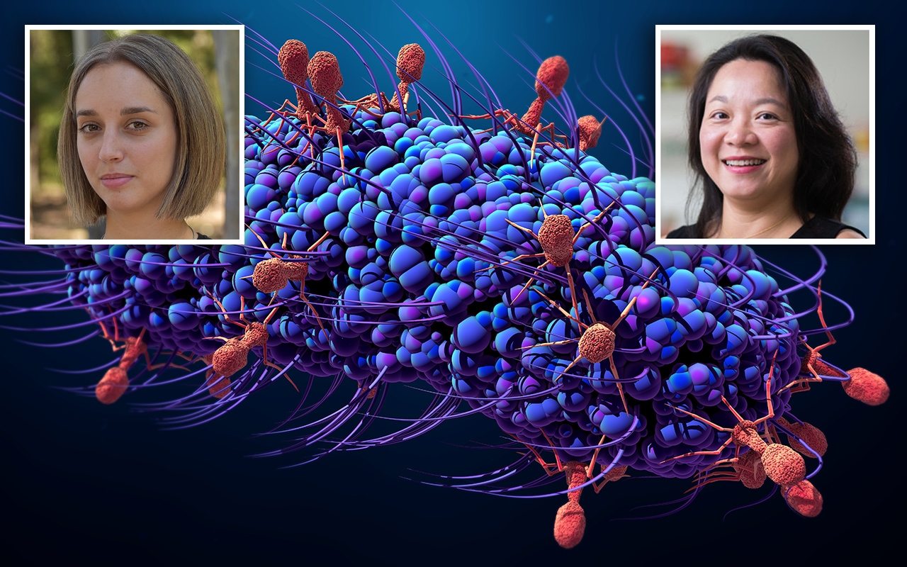 Bacteriophage20podcast202019