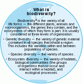What is biodiversity?