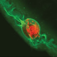 Cover 200206