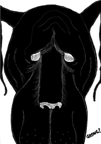 Cover suppl Black Gog