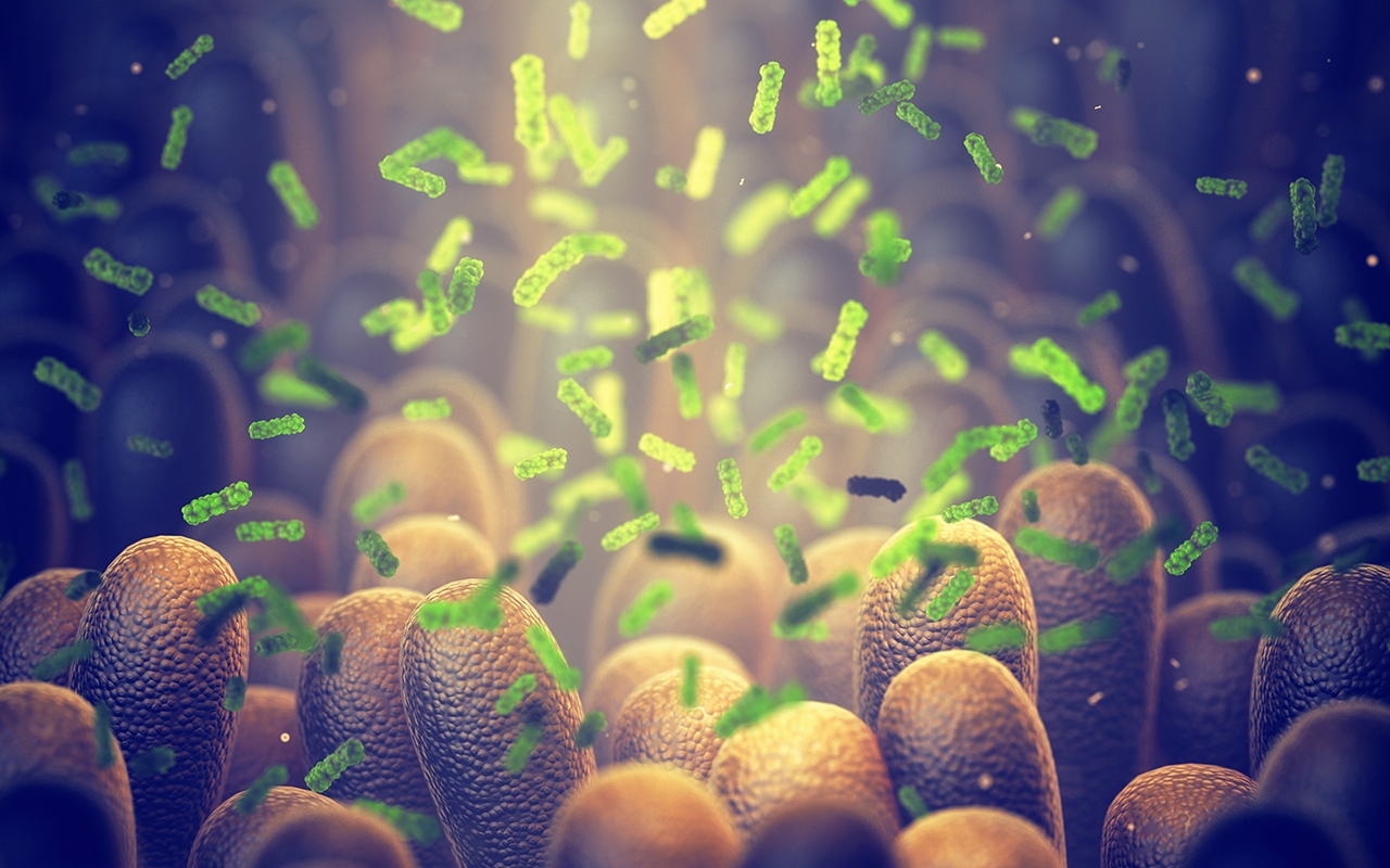 Gut20microbiota