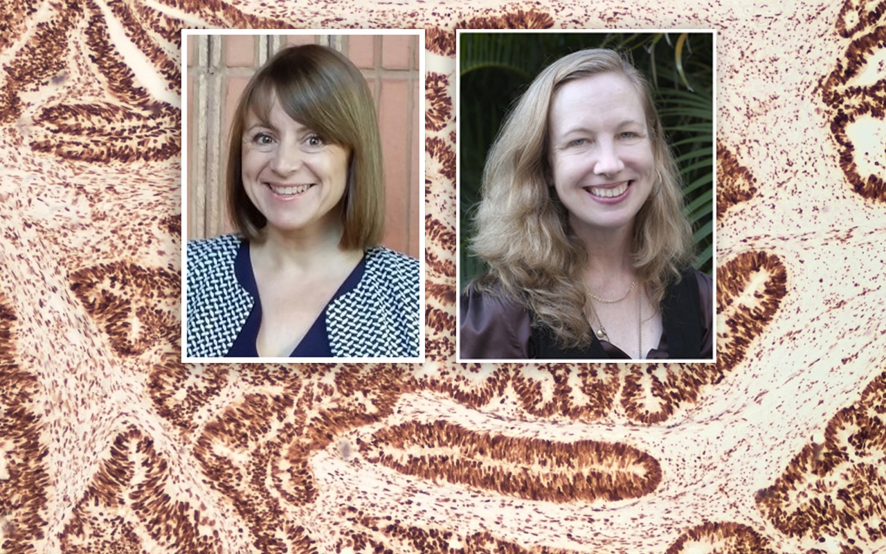 Lynch syndrome, with Susan Morris and Prof Karen Canfell