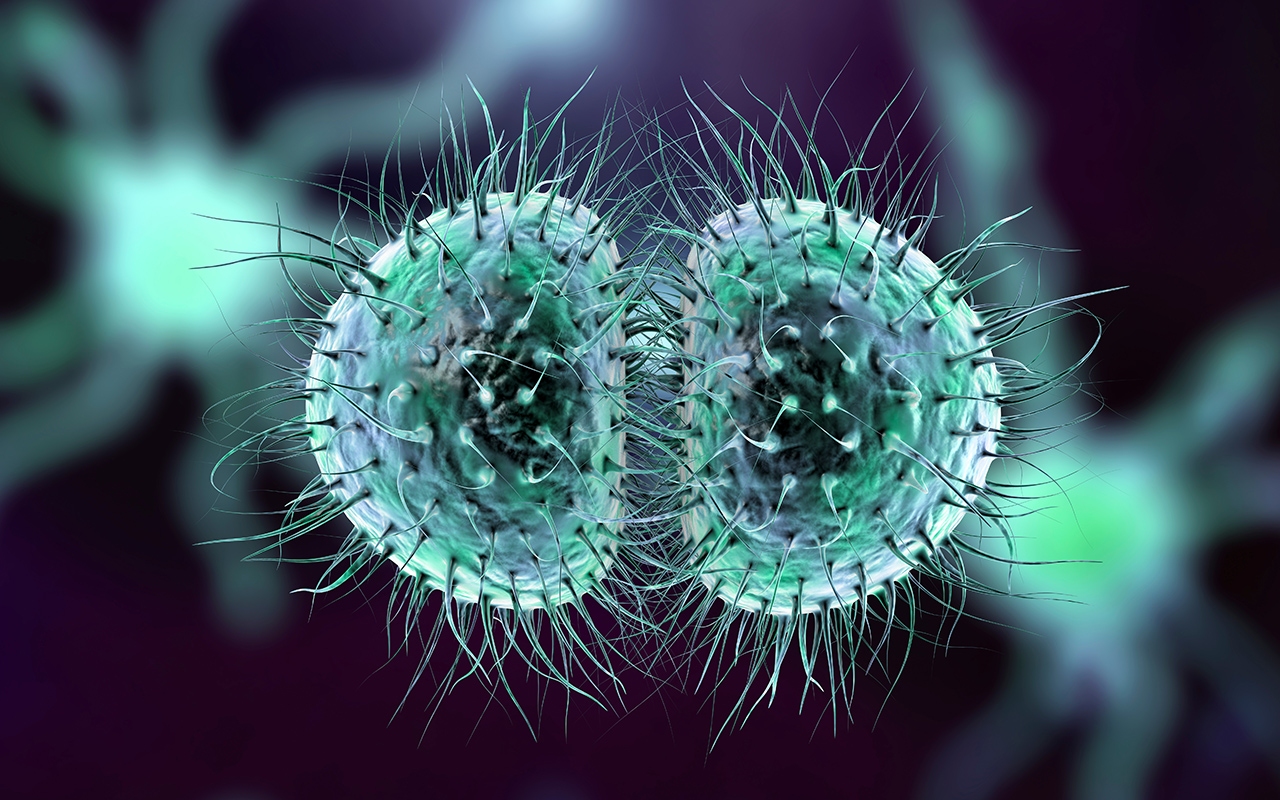 Invasive meningococcal disease and COVID-19, with Dr Robert George and Prof Monica Lahra