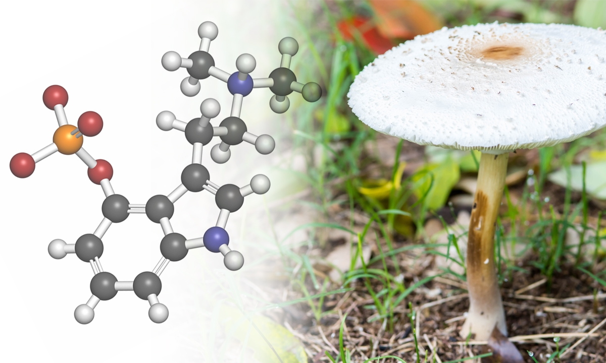 Psilocybin