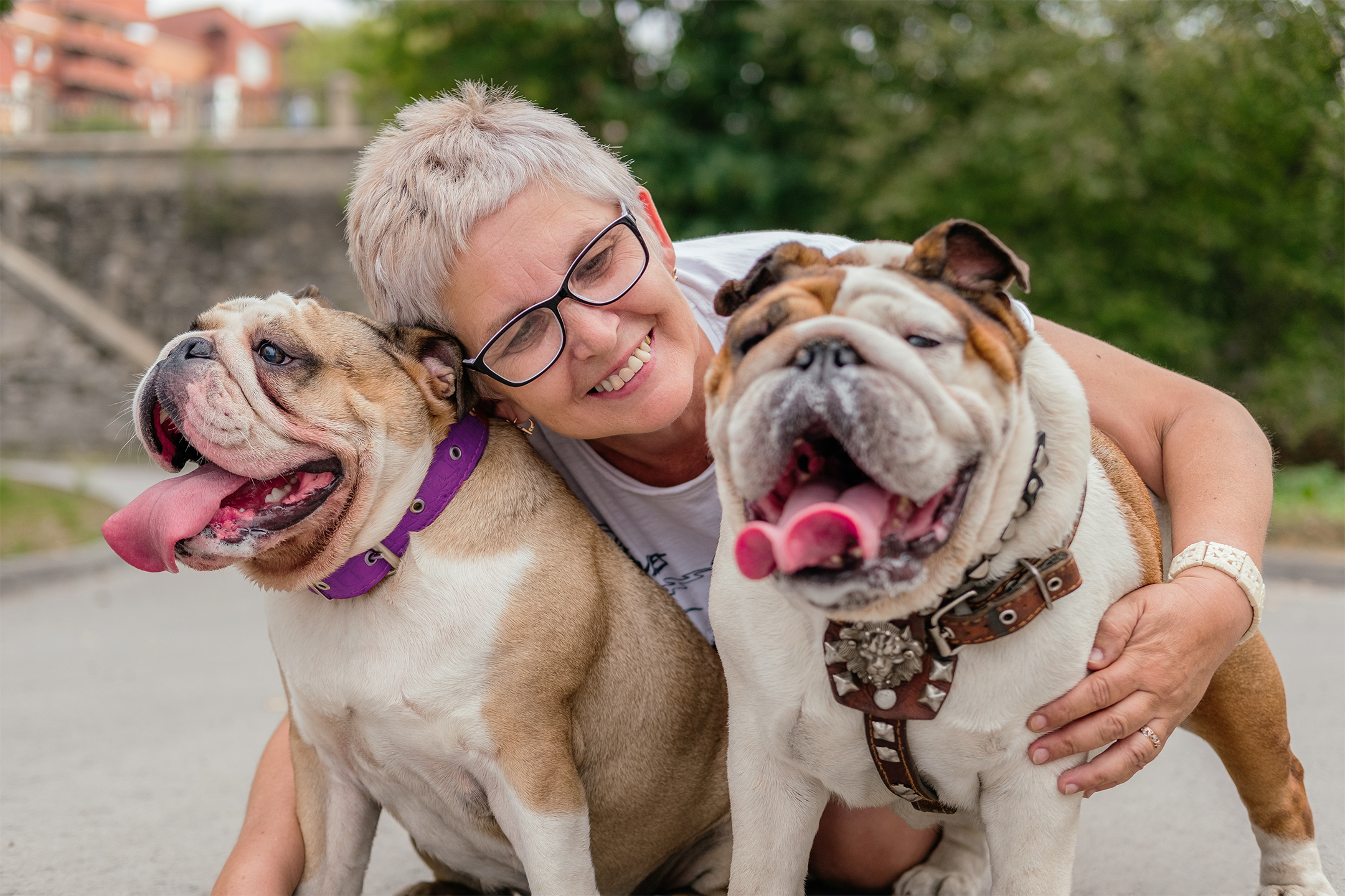 A woman with short hair and glasses crouching between two English bulldogs in an outdoor setting, with trees and buildings out of focus in the background.