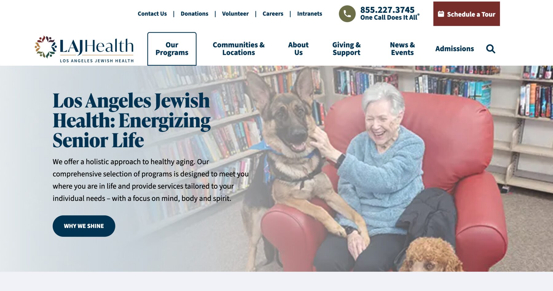 LAJHealth website