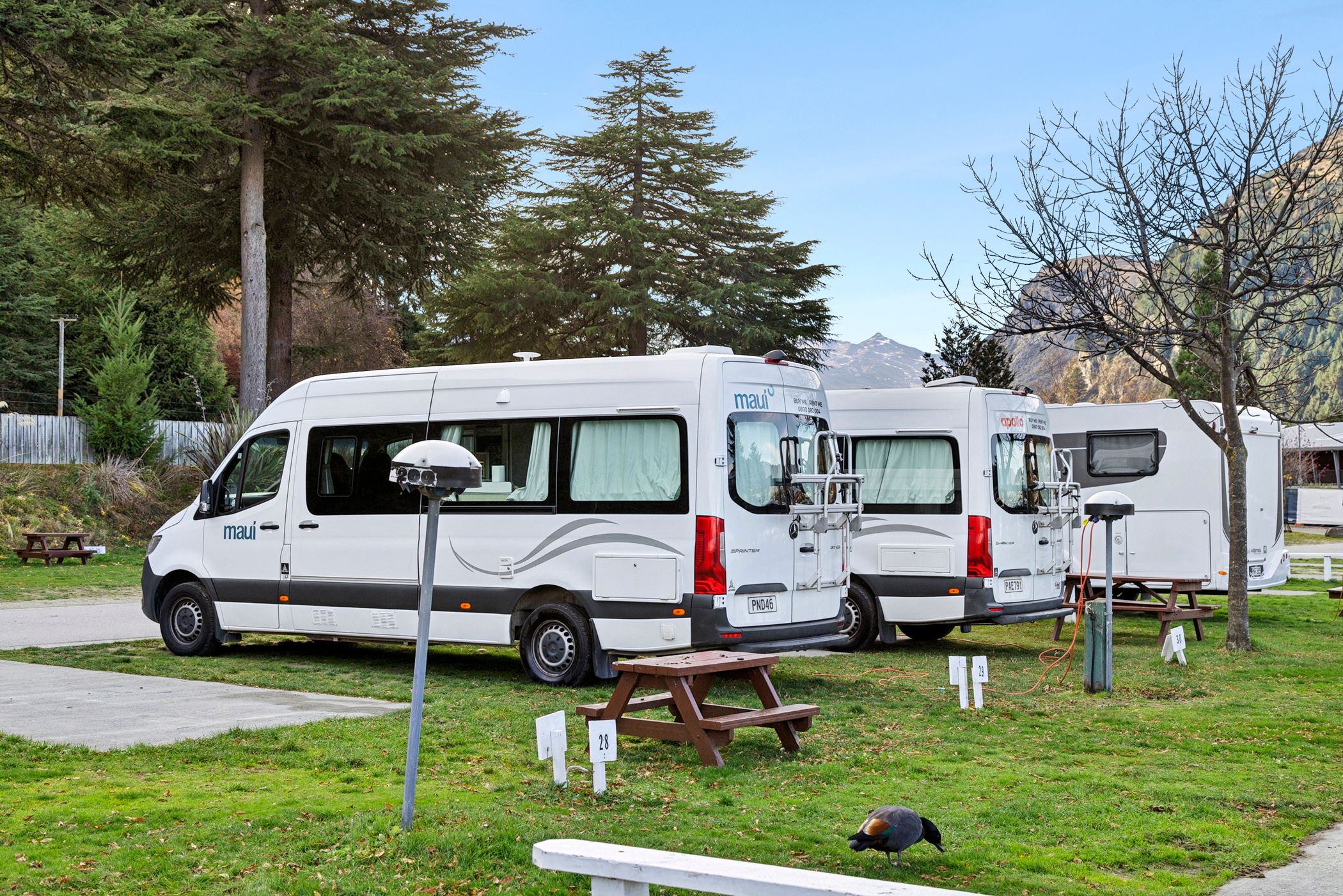 Caravan Powered Sites