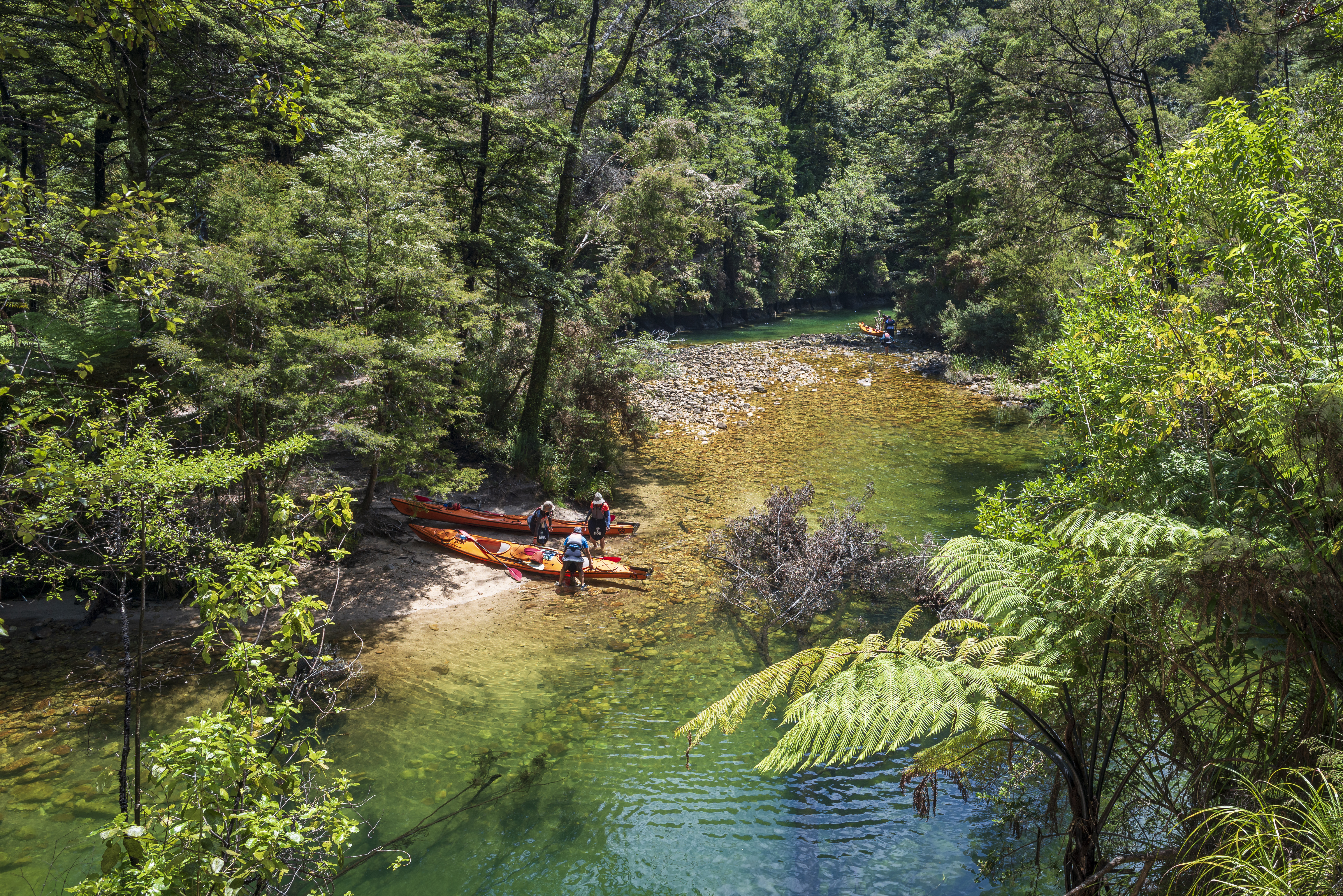 Abel Tasman National Park