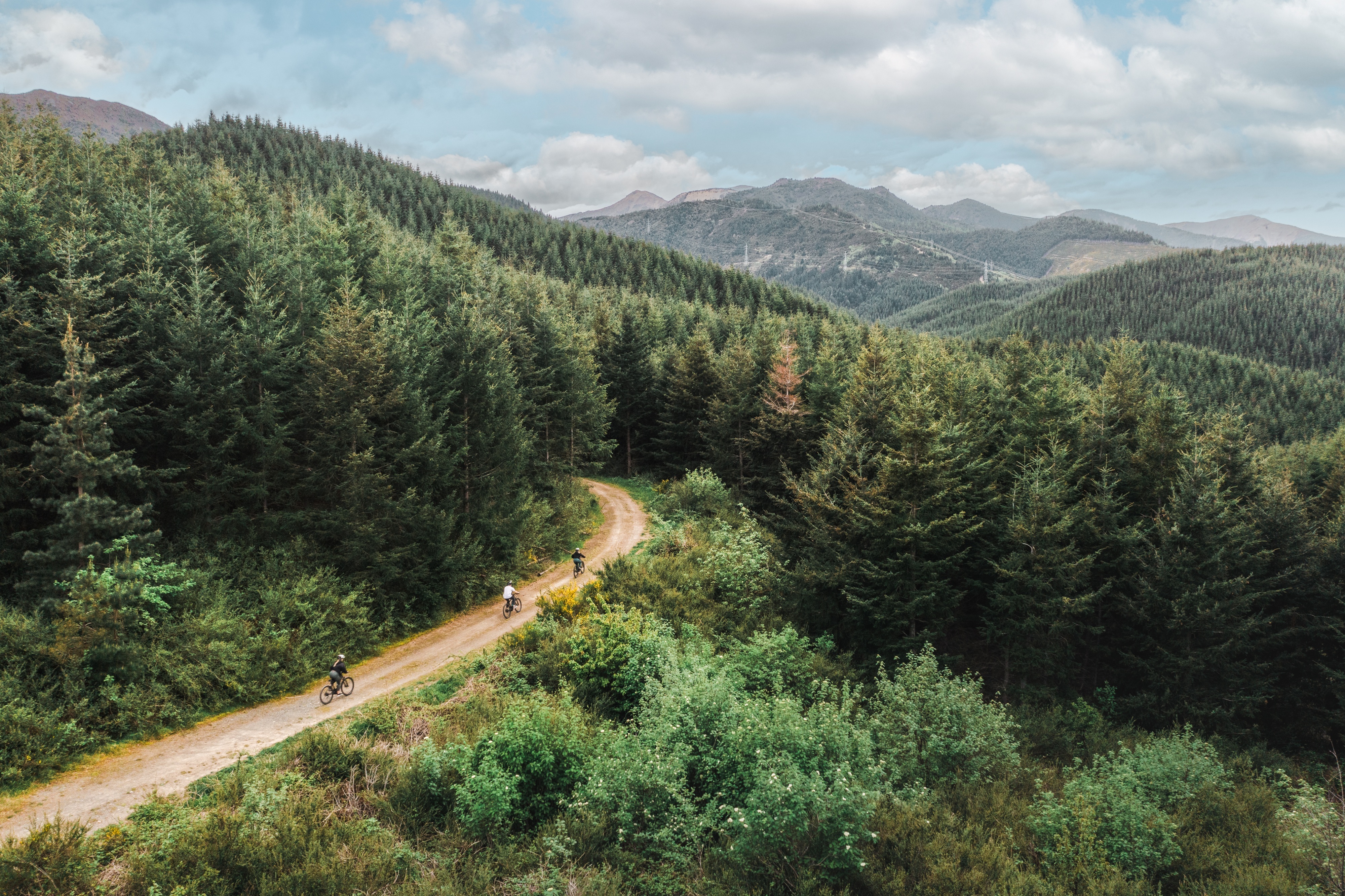 Hanmer Forest Park