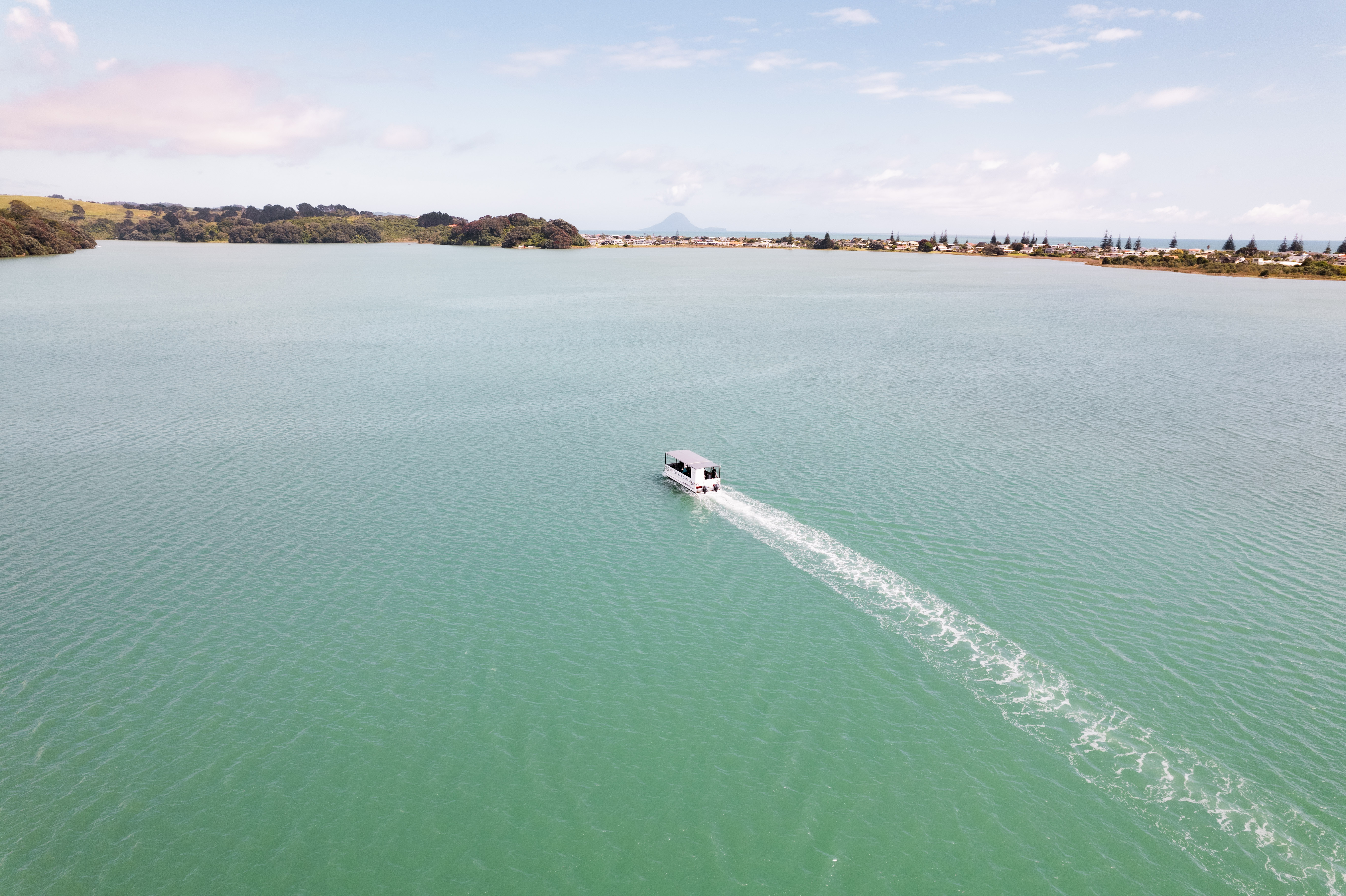 Tio Ōhiwa Oyster Farm