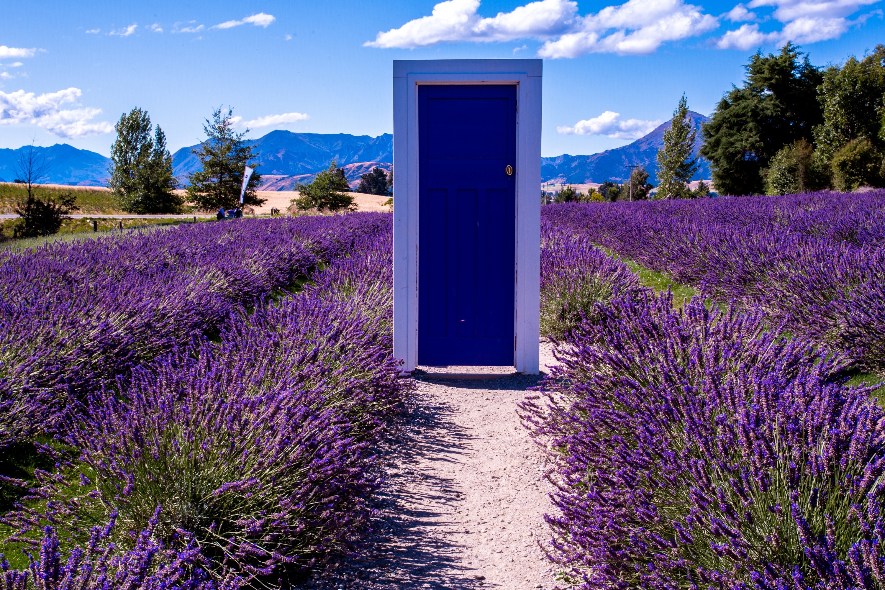 Wānaka Lavender Farm